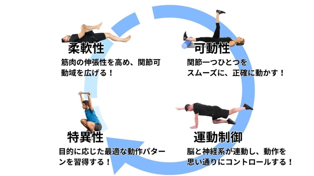 ファントレサークル